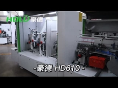 এজ ব্যান্ডার: HD610